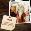Bud