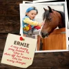 Adopt a Pony - Image 4
