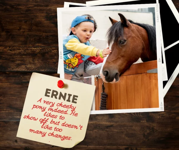 Adopt a Pony - Image 4