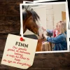 Adopt a Pony - Image 5