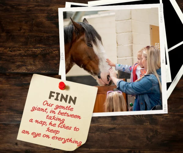 Adopt a Pony - Image 5