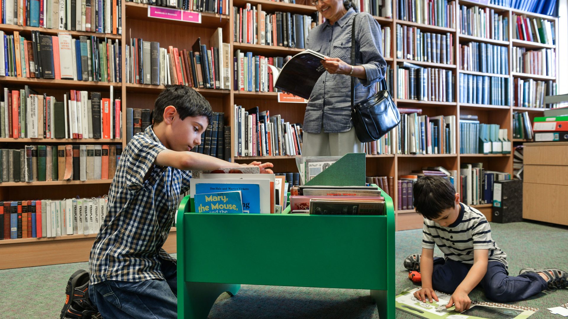 Using the Library Using the Library