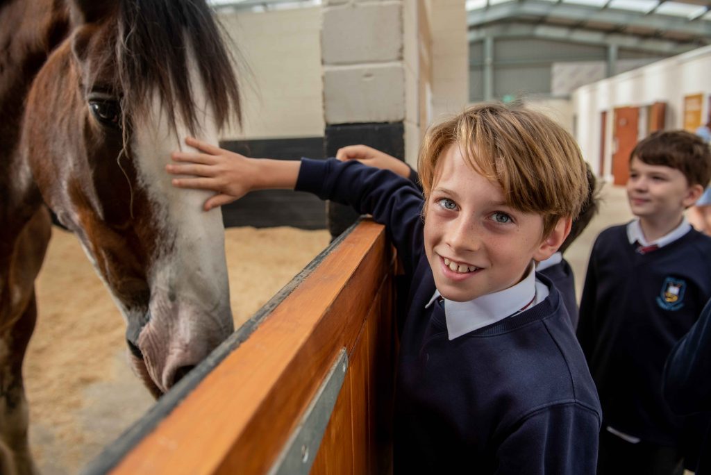 School child strokes pit pony Finn