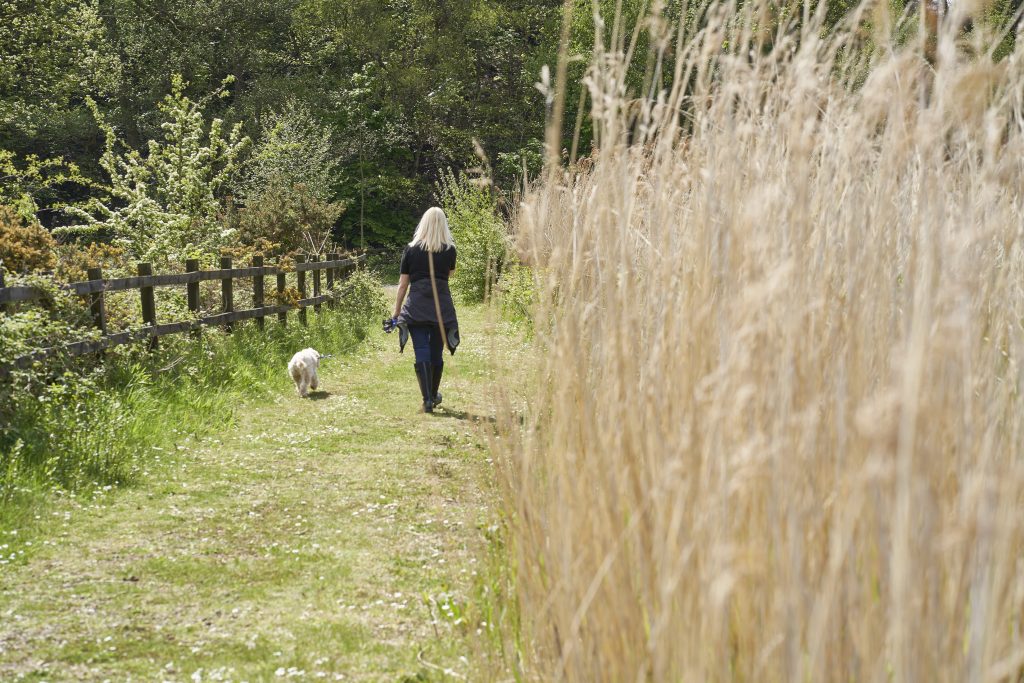 Nature Trail