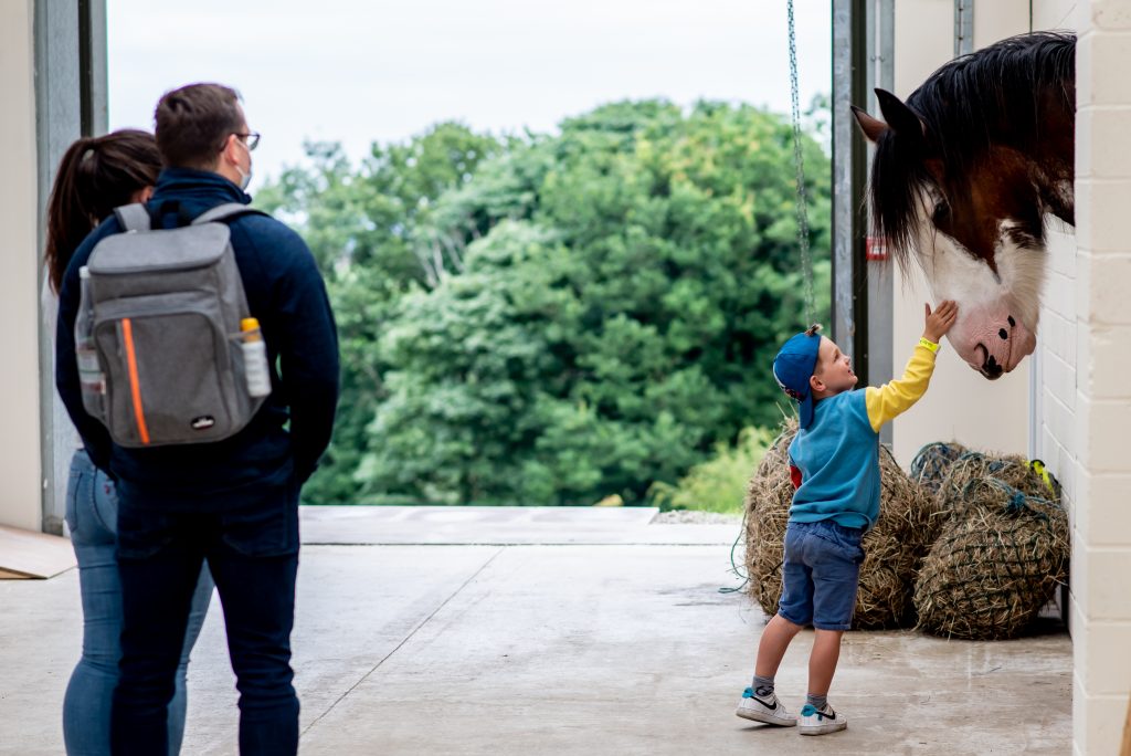 Three people stood at the Pony Discovery Centre