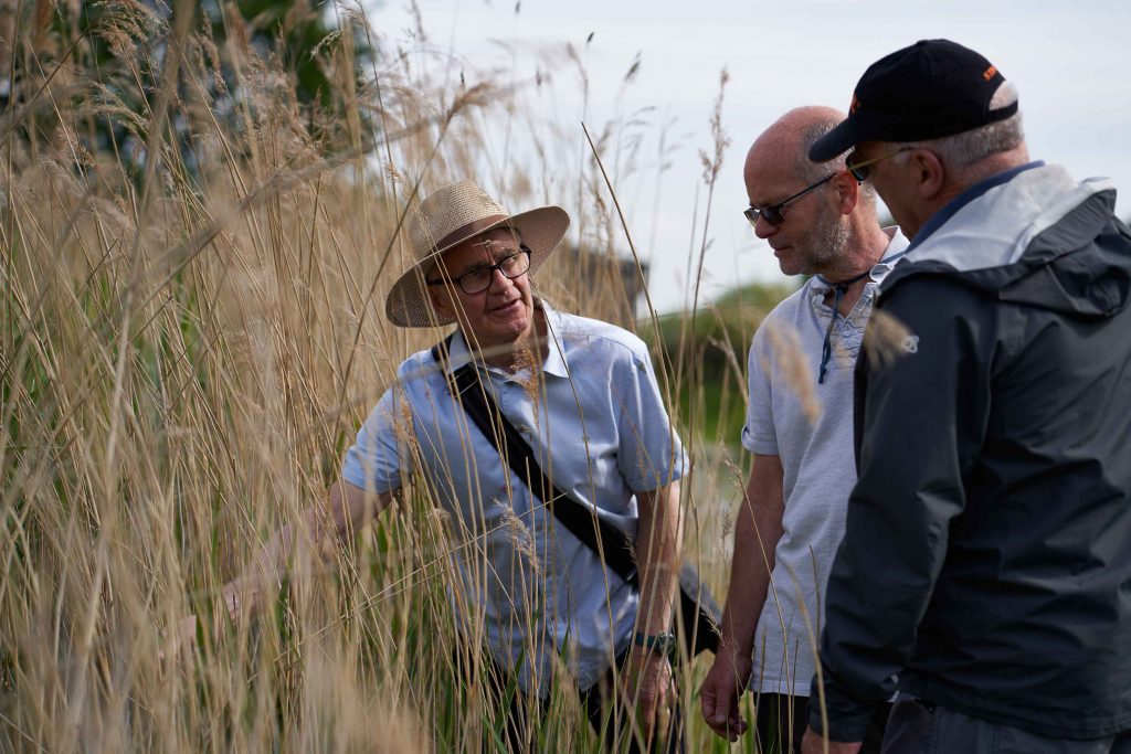 Reed Bed Tour