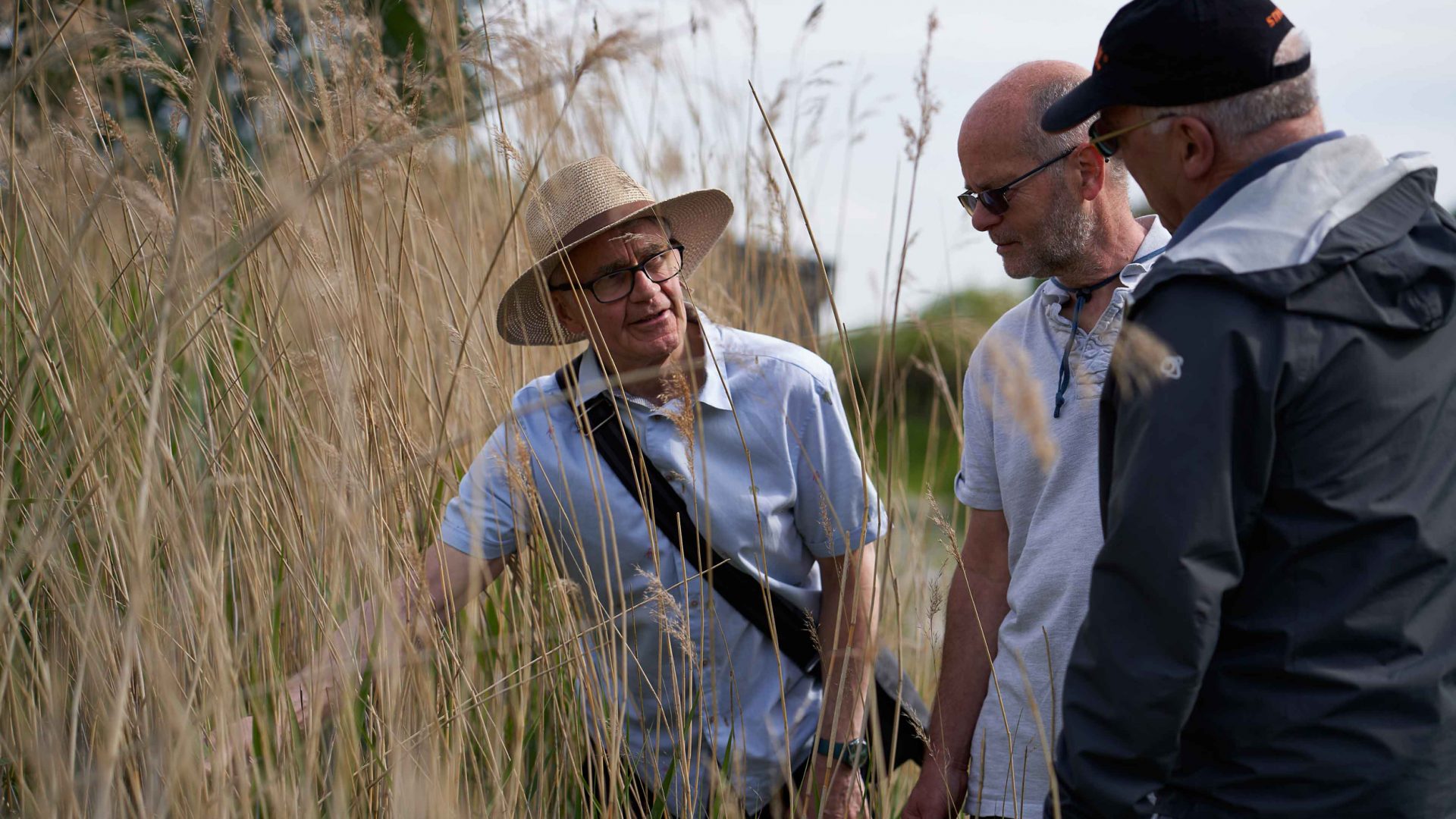 Reed Bed Tour