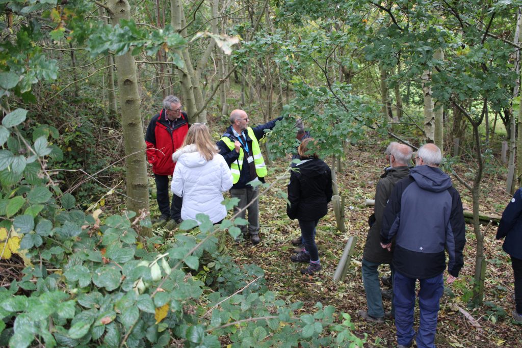 Heritage Walk: Clues in the landscape