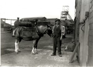 Pit Pony at Old Roundwood Pit