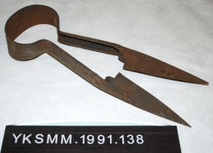 Pit Pony Shears