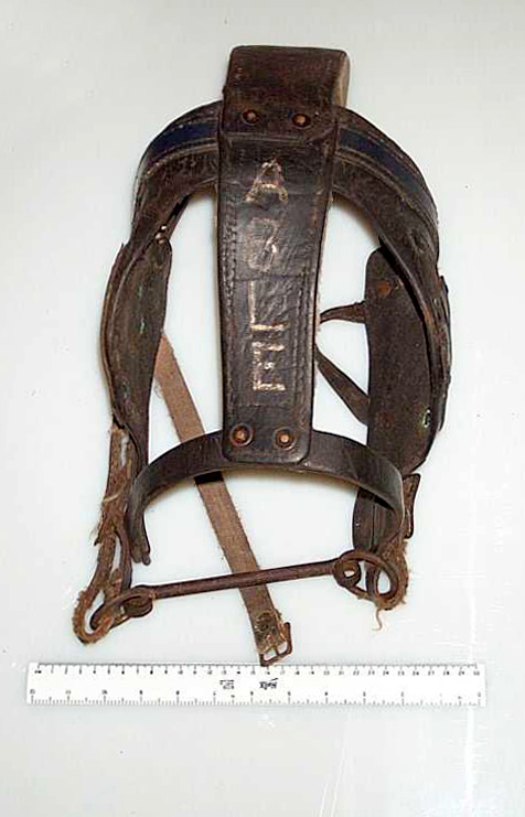 Pony Bridle