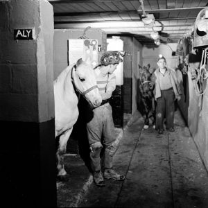 Underground Stables at Calverton Colliery