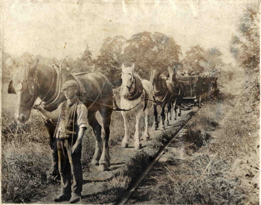 Horses Pulling Wagons on the Little Eaton Tramway