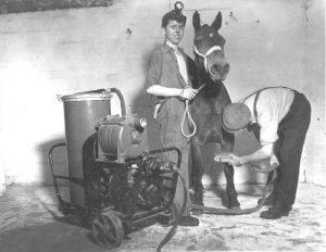 Grooming a Pony Undergound