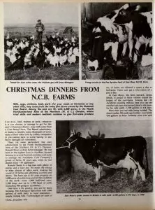 Christmas Dinners from NCB Farms 