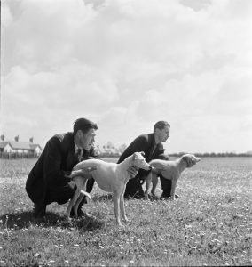 Image of Miners with Whippets