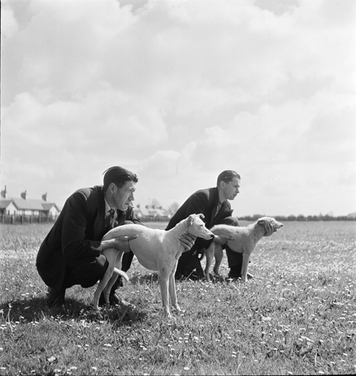 Image of Miners with Whippets