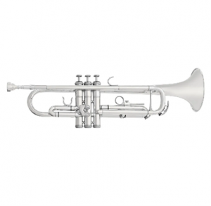 Trumpet 