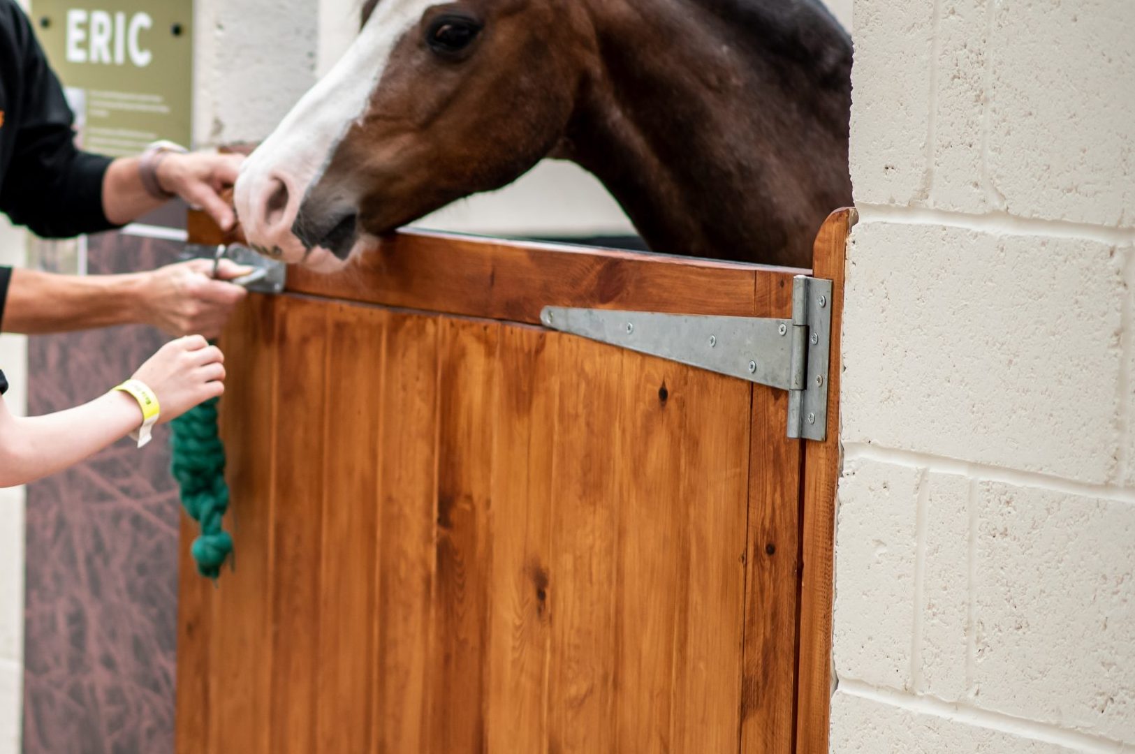 Voices in the Coalshed: Pit Pony Names Voices in the Coalshed: Pit Pony Names