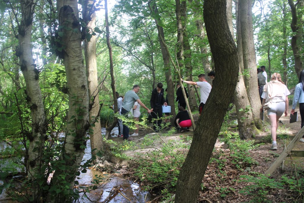 Collecting Water from the Stream