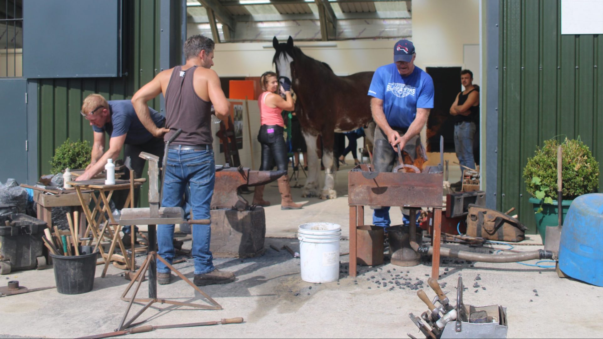 Farrier Demonstration Farrier Demonstration