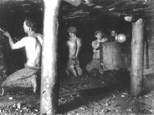 Voices in the Coalshed: George Orwell Voices in the Coalshed: George Orwell