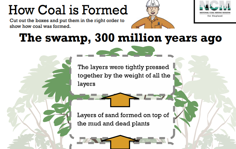 How is coal formed?