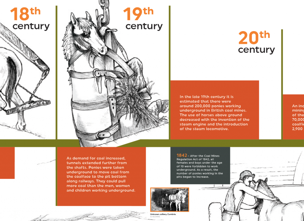 Pony Discovery Centre Timeline