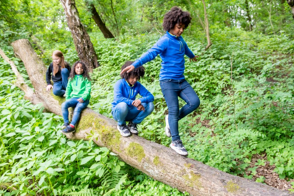 May Half Term @ Pit: Treasured Trees