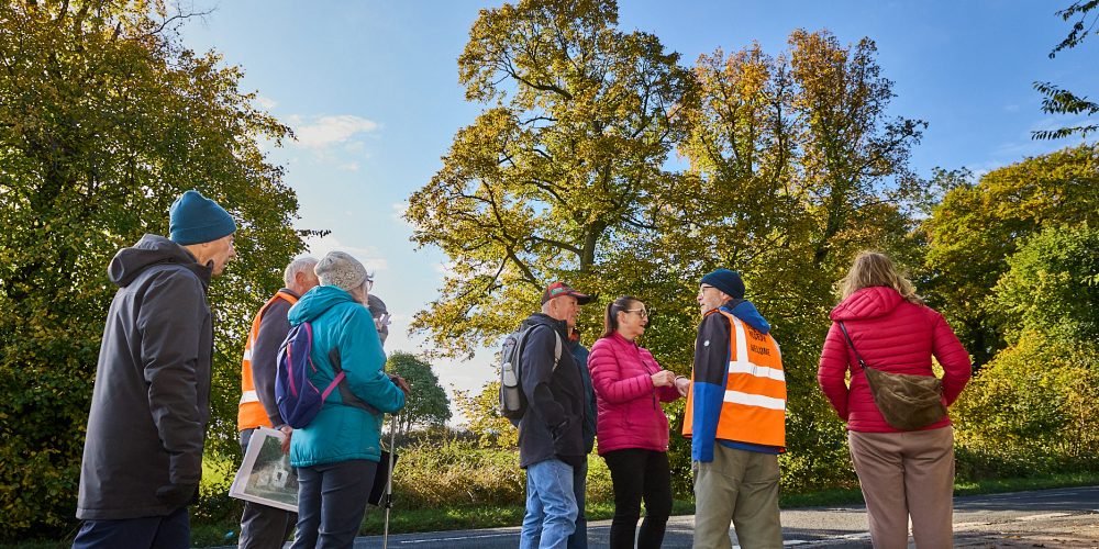 group of people stood looking at nearby landmarks from the roadside