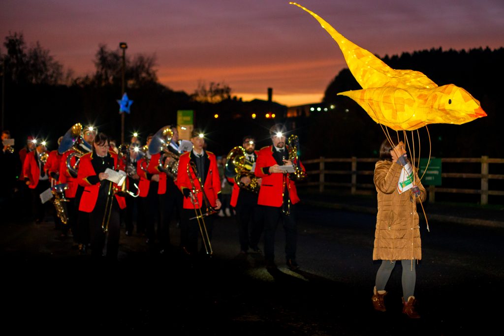 Illumine: Light Up Festival