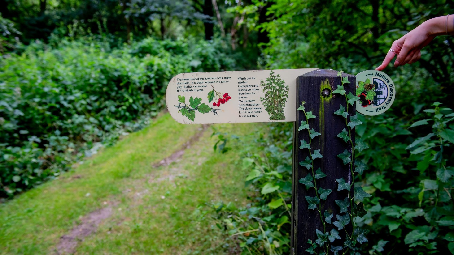 Sustainability  Manifesto