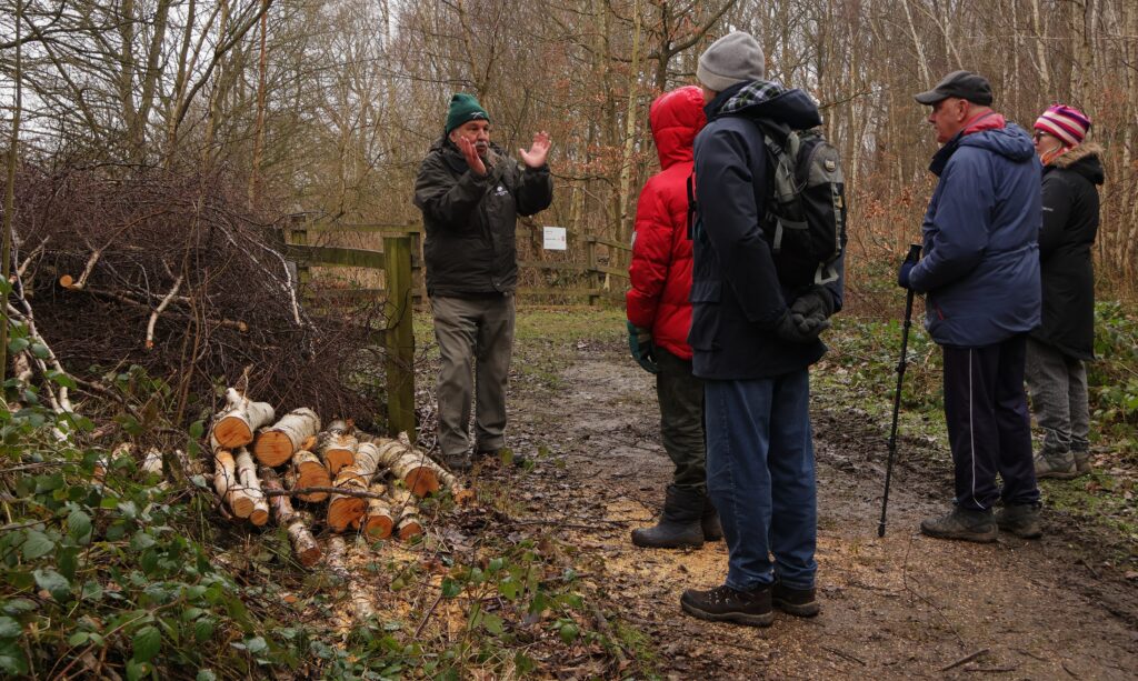 Meet the Trees: Guided Walk