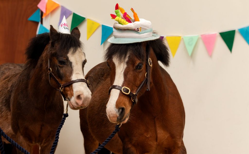 Eric and Ernie’s 21st Birthday