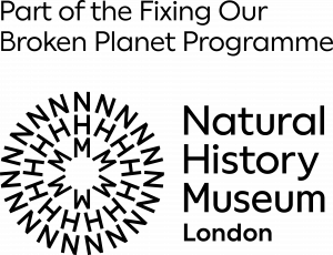 NHM Logo