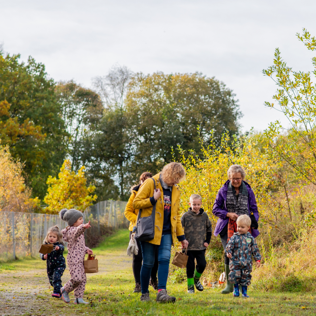 A group walk through the nature trail collecting pine cones