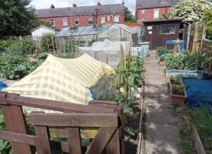 Allotments in Wakefield